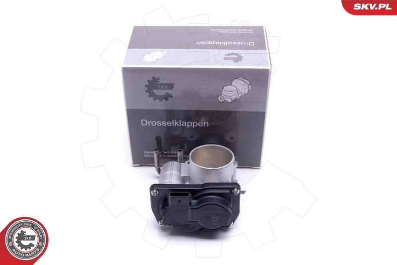 Throttle Body